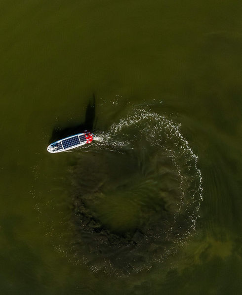 DX Enviro+eDNA in water