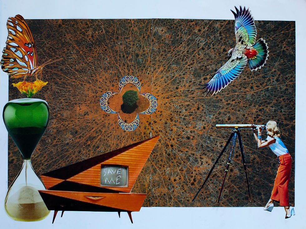Save Me Analog Collage art Metal print