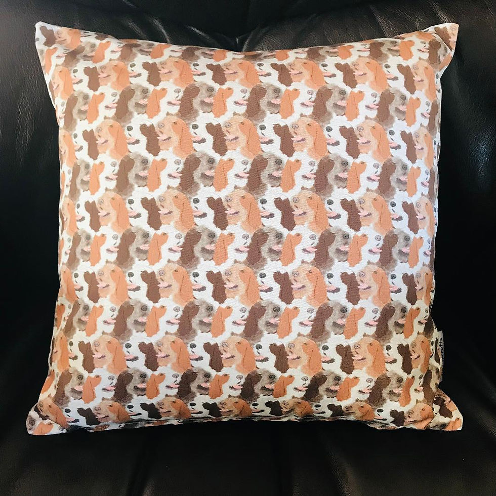 Thumbnail: Spinone Italiano Cushion Cover