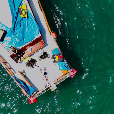 SUNG KONG DIVE REPORT – Sept 20, 2020