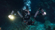 Christmas Island – Diving with Christmas Spirit, beer and  wine.