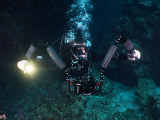 Christmas Island – Diving with Christmas Spirit, beer and wine.