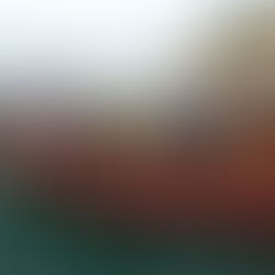 South side intrigue and mystery in Davy Jones locker.