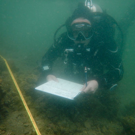 SCDC Reef Check report 2016 - Ngau Shi Wu Wan