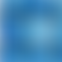 Loopholes Increase Risks of Shark Fin Carriage WWF releases first guidelines to facilitate shark fin