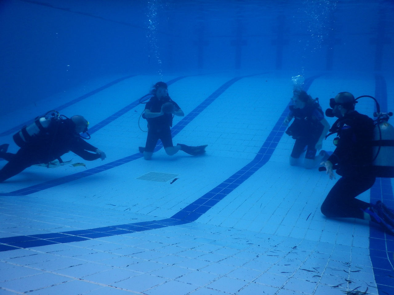Ocean diver course 2016_25