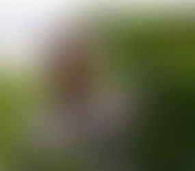 Sodexo, un acteur engagé au cœur des territoires