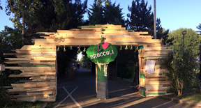 Broccoli Festival 2017