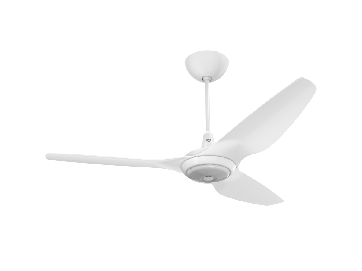 Big Ass Fans Haiku 60" White with light kit (WET RATED)