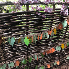 The wonder of a wishing tree!