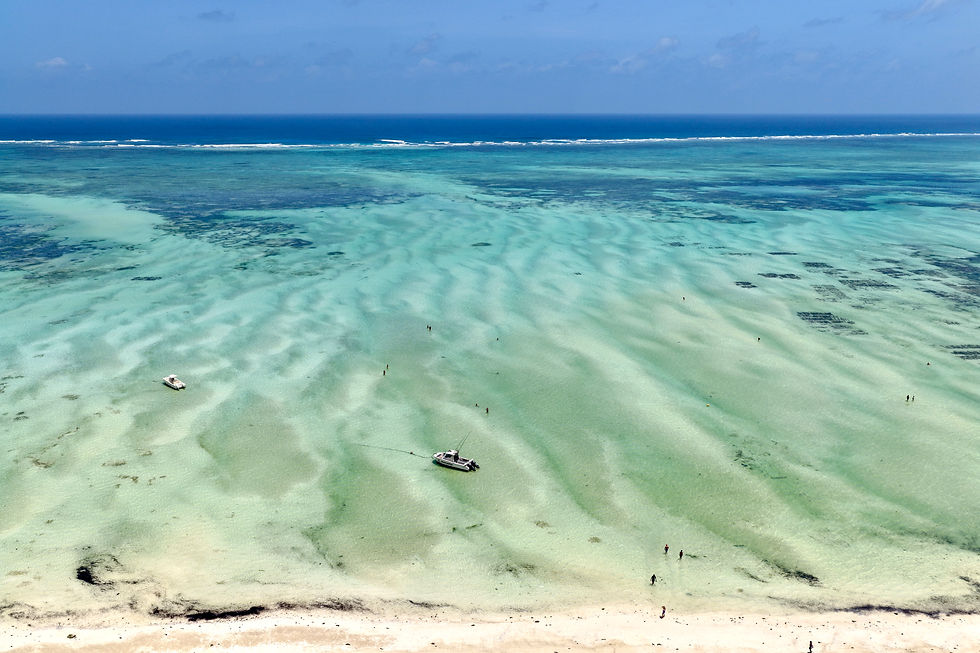 dji_fly_20260131_121724_0309_1769934159374_photo.jpg
