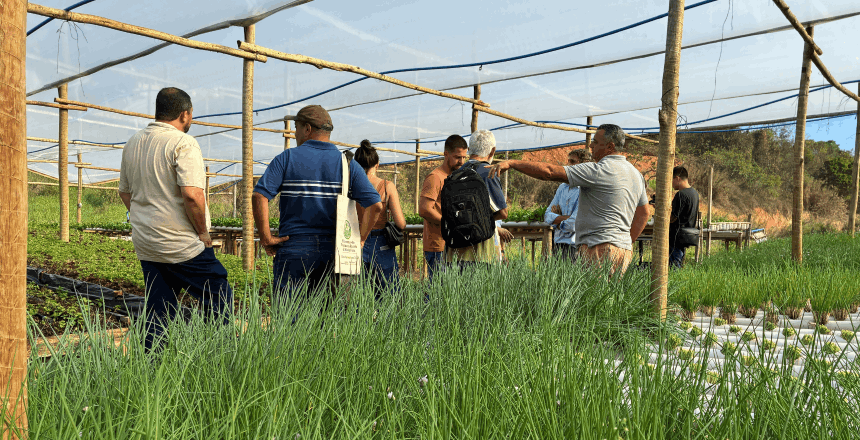 PJF abre inscrições para encontro de produtores de horticultura com foco na segurança alimentar e hídrica