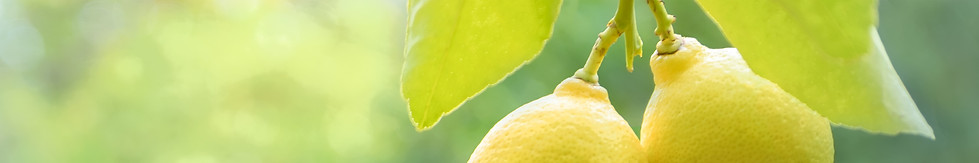 Lemon1.jpeg