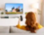 viamedia_solutions_digital_tvSegmentee.webp