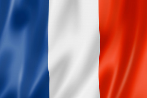 France Mission Update #14