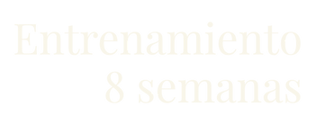 sub logo.png
