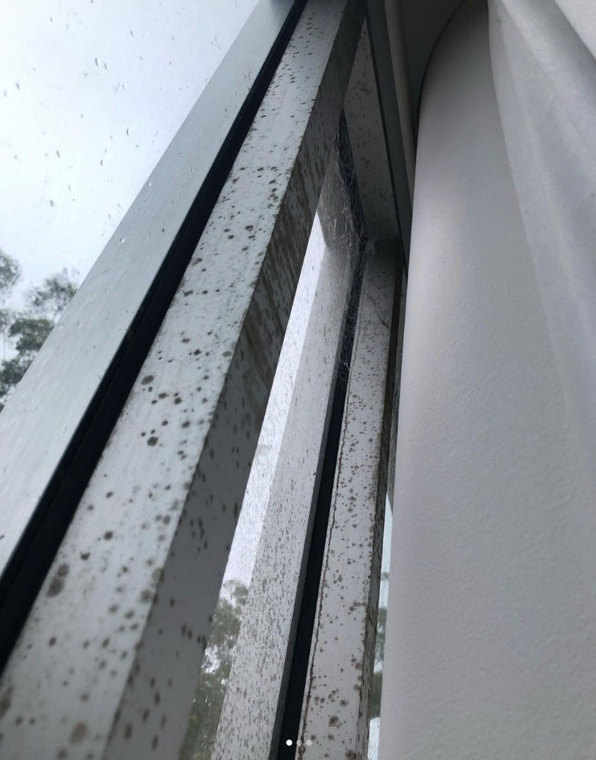 mould build up removed