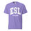 Thumbnail: ESL Teacher Comfort Colors Tee