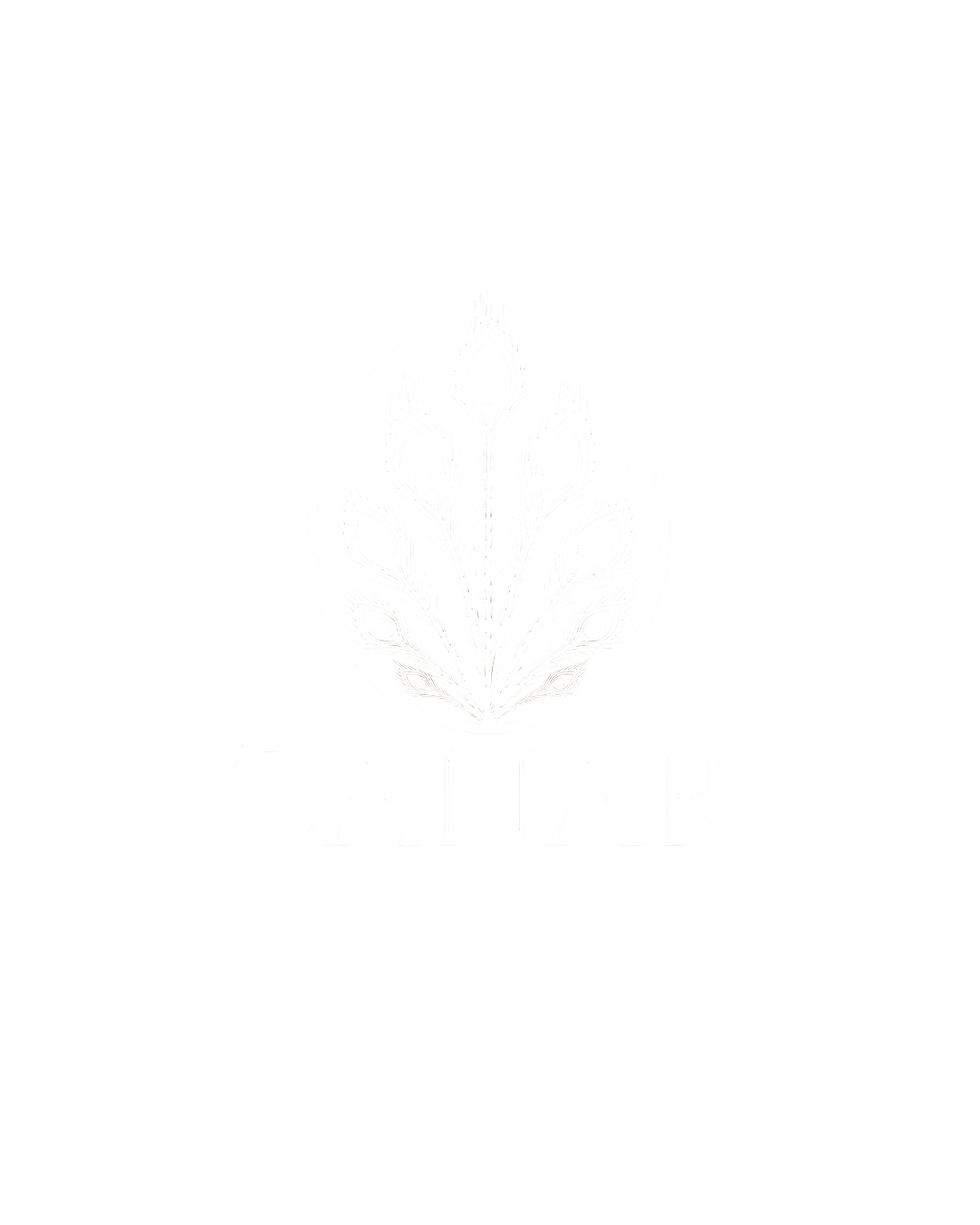 ZANAR logo latest .png