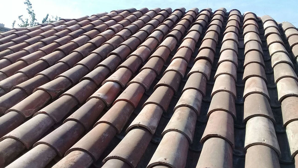 tejasantiguas011