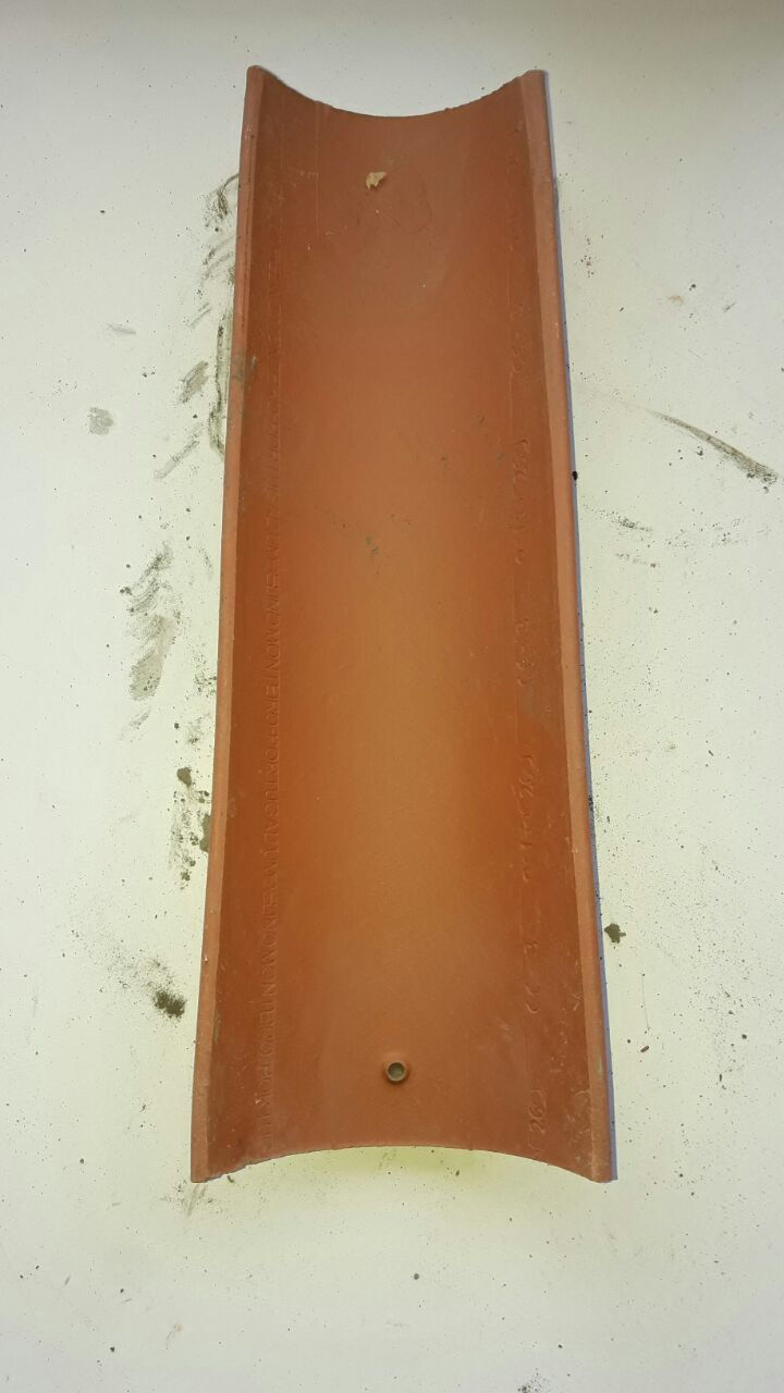 PORTUGUESA r
