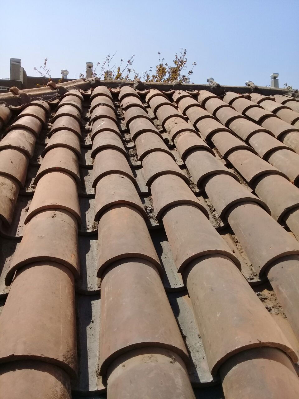 tejasantiguas010