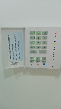 10437465_232746050402477_2264200240513929555_n