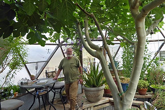 Tom with fig tree in dome.jpeg