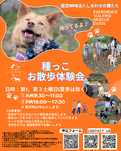 お散歩体験会 (4).png