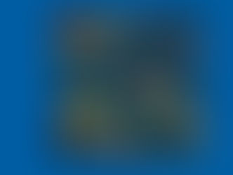 L'Ormone della Vitamina D regola la Serotonina (l'Ormone del Buonumore)