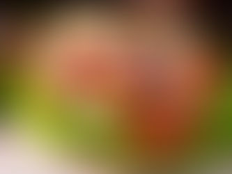 IL KEBAB,TUTTO CIO' CHE C'E' DA SAPERE