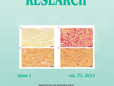 La creatina cloridrato