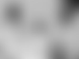 Sylvester Stallone (Military Press)