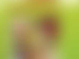 Un anno di dieta dimagrante ricca di proteine fa bene al sistema cardiovascolare