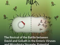 Additivi alimentari e il fenotipo infiammatorio intestinale: una revisione della letteratura