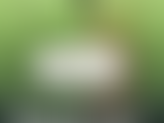 Additivi alimentari e il fenotipo infiammatorio intestinale: una revisione della letteratura