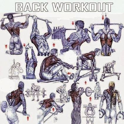 Miniatura: TOP EXERCISES