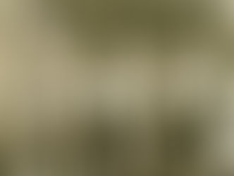 Gli effetti delle ripetizioni secondo Charles Poliquin