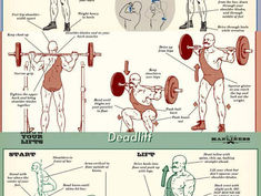 L'IMPORTANZA DEL MULTIARTICOLARI.-Christian Thibaudeau-