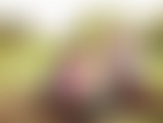 LA FELICITA' A CONTATTO CON LA TERRA