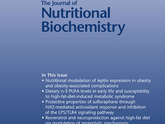 I peptidi oppioidi derivati dalla caseina