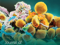 Dolcificanti senza zucchero e obesità: come consigliare i pazienti