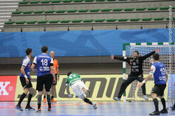 Handball02122017_3-109