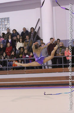 CRPGino2-6.jpg