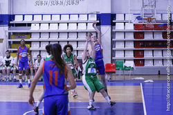 BasketAlges-111.jpg