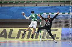 Handball02122017_3-113