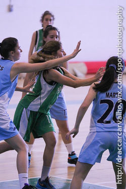 BasketAlges-4.jpg