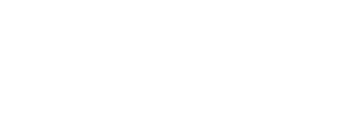VINI-FANTINI.png