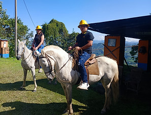 paseos a Caballo.jpg