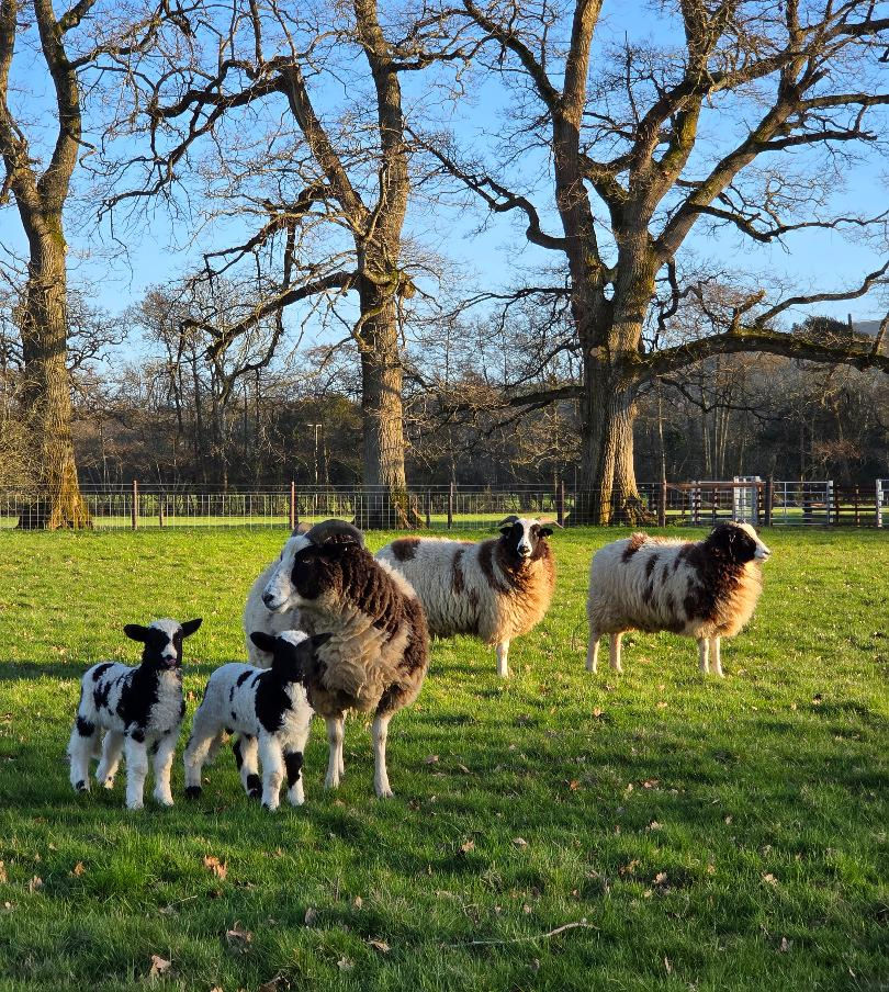 Farm and Forest Taster Day